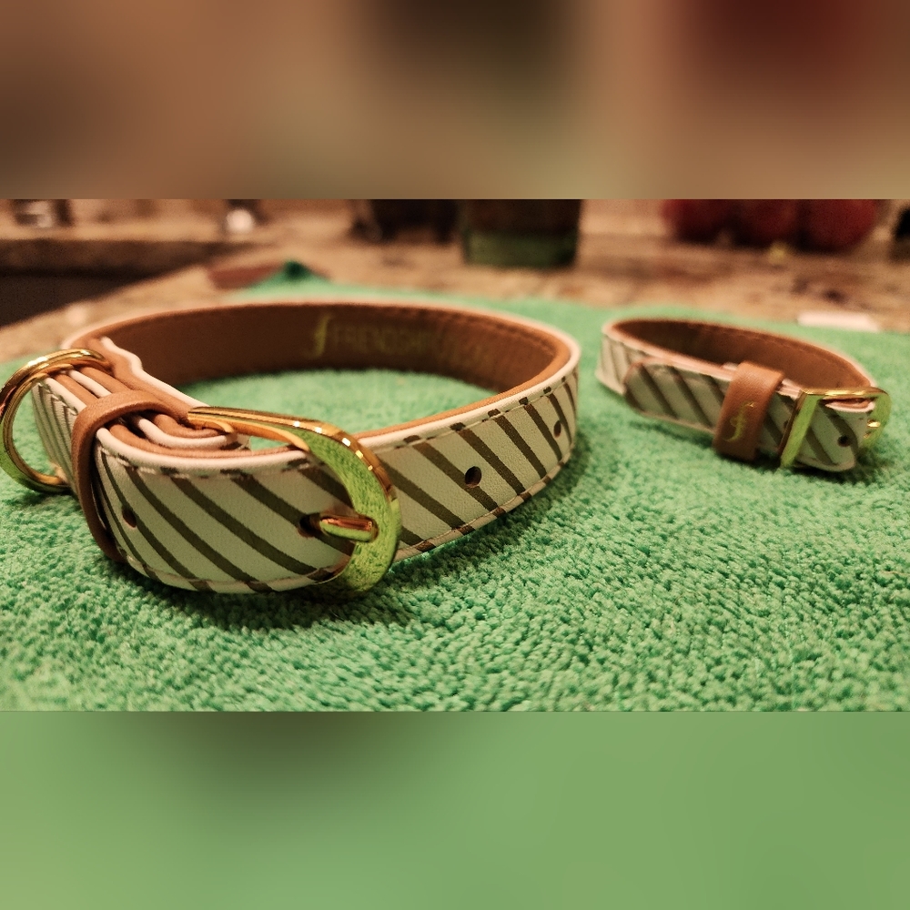 A SPECIAL FRIENDSHIP DOG COLLAR (11 to 14 inch) & Friendship Bracelet - Picture 6 of 12